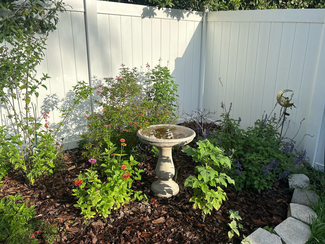 What is Native Plant Gardening and Why It Matters?