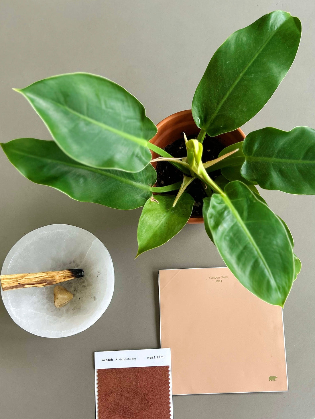 The Connection Between Home and Wellness