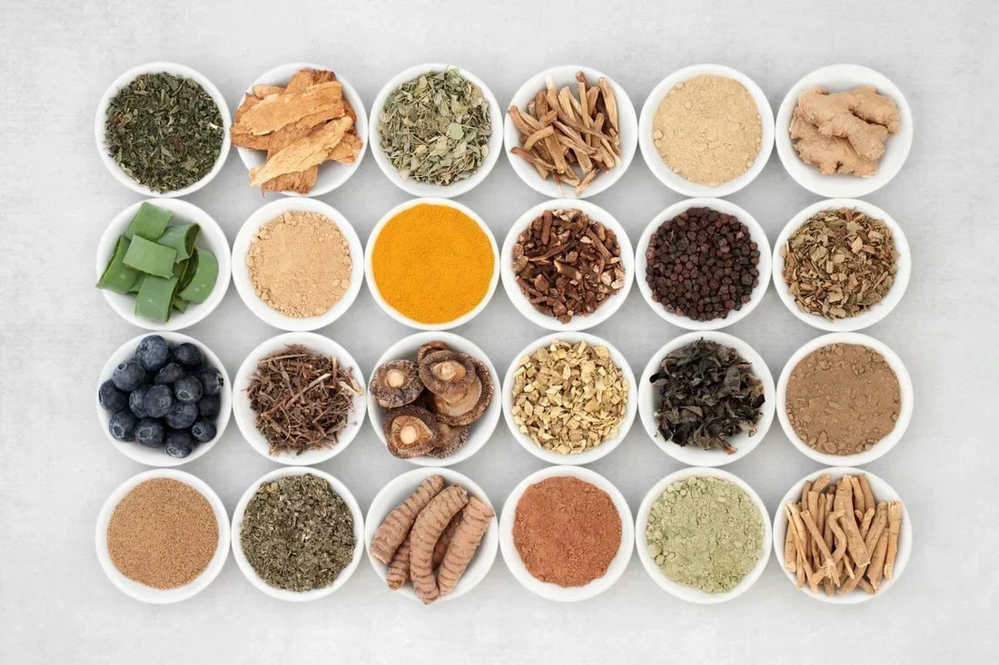 Adaptogens: Benefits, Popular Herbs & How They Support Stress Resilience