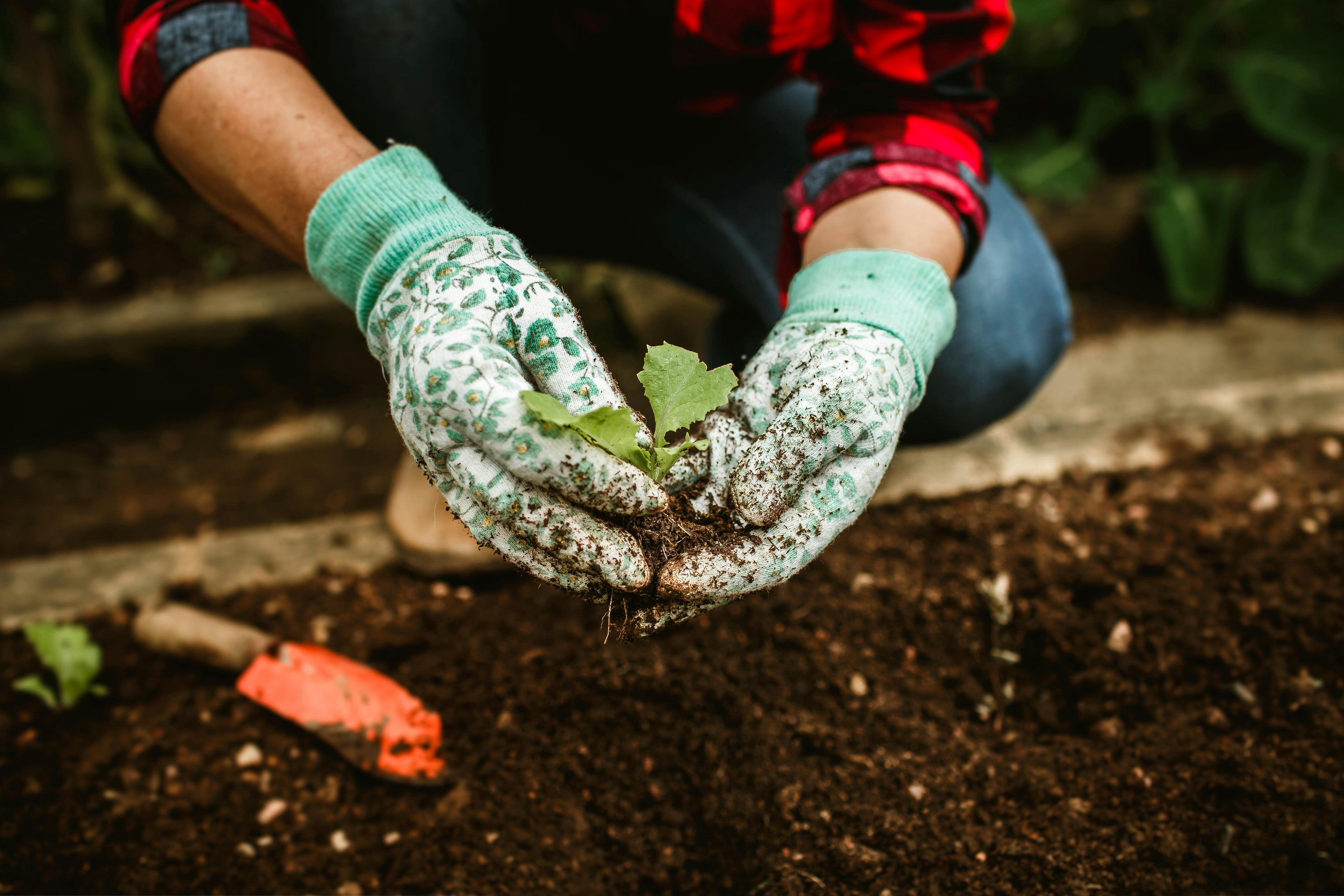 Grow a Garden, Nurture Your Heath:  6 Ways Gardening Supports Your Wellbeing