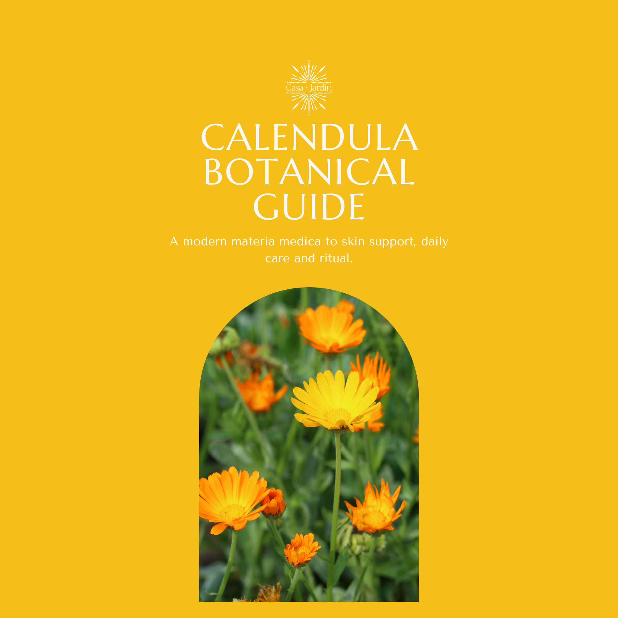 Calendula Botanical Guide | Digital Download