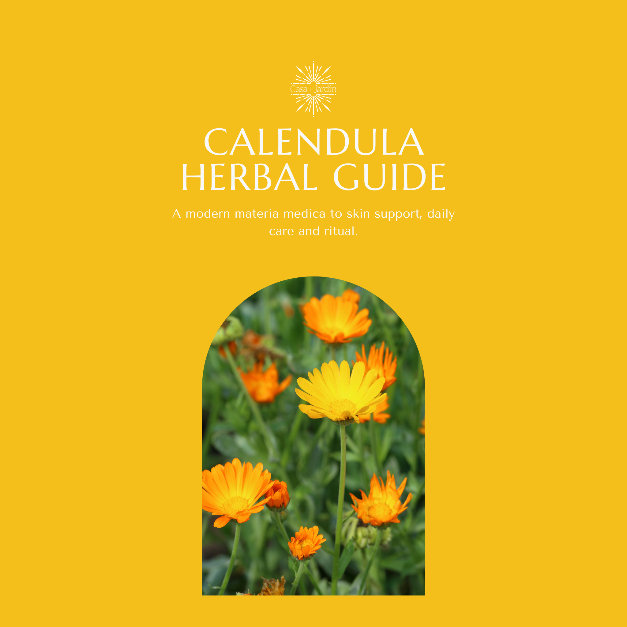 Calendula Herbal Guide