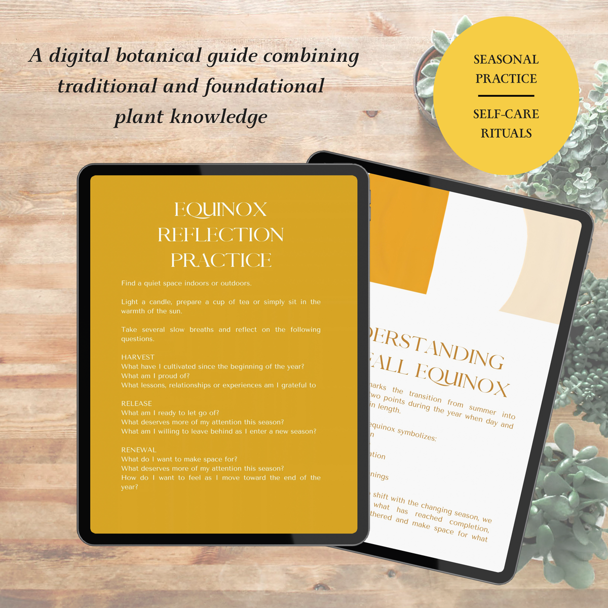 Fall Equinox Digital Guide | Digital Download