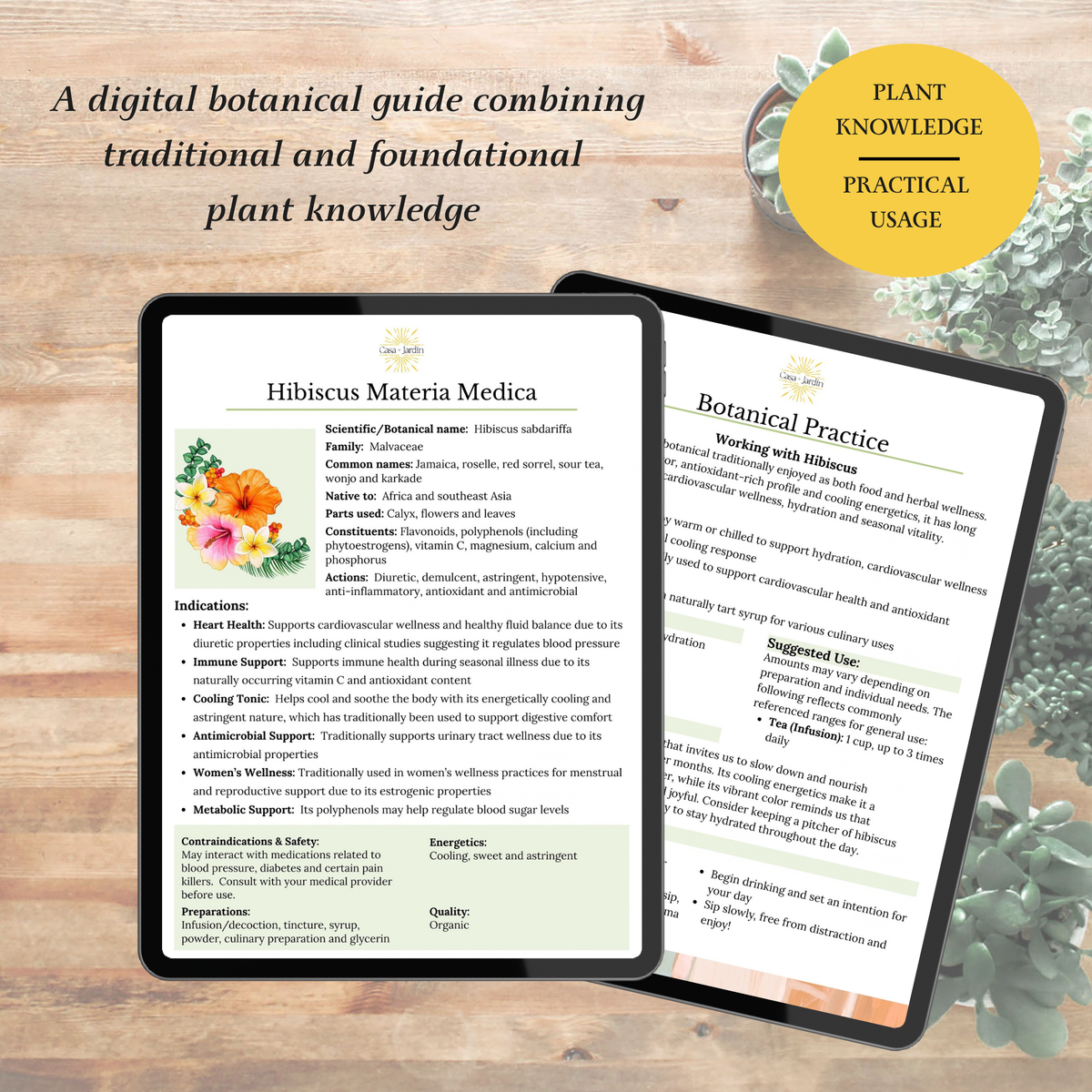 Hibiscus Botanical Guide | Digital Download