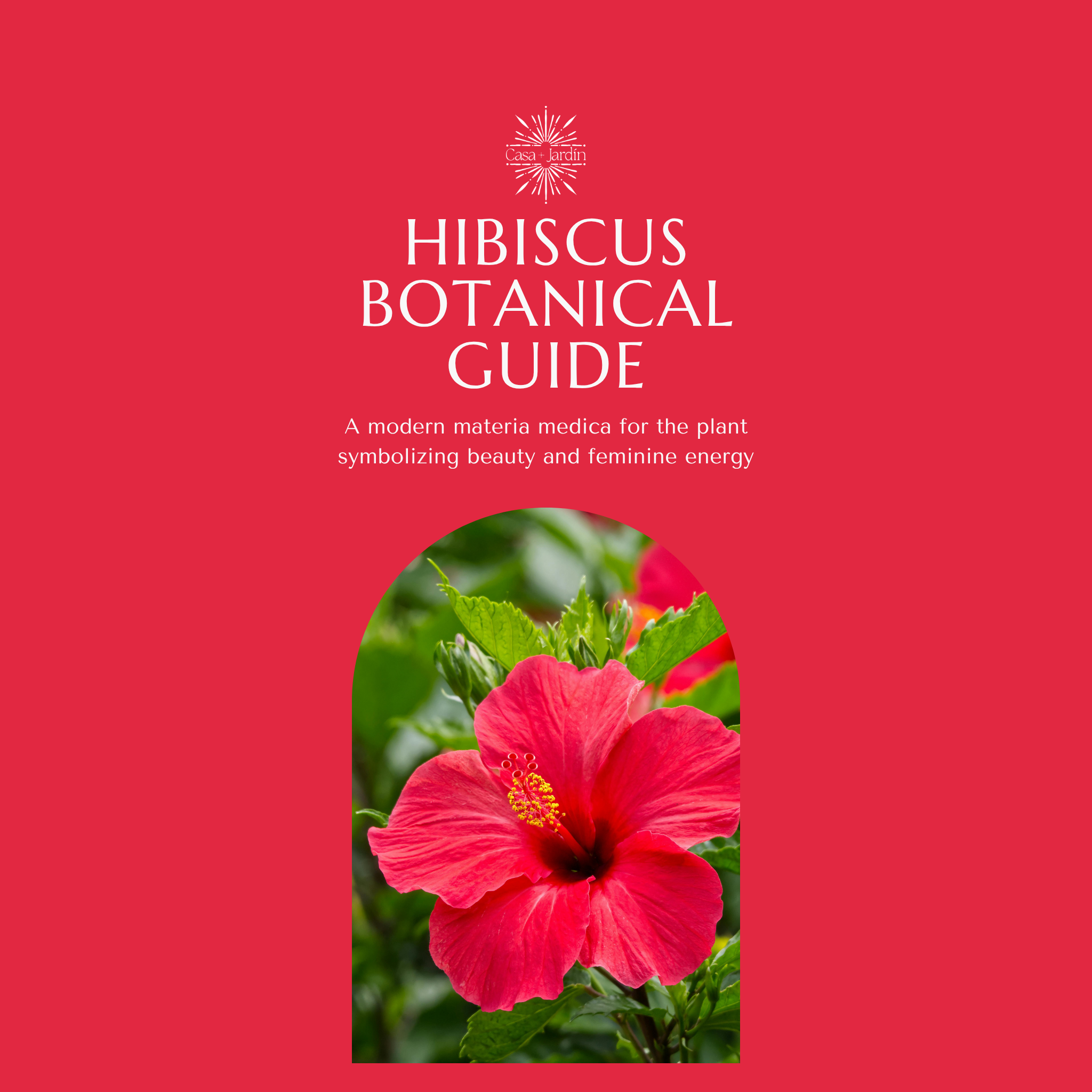 Hibiscus Botanical Guide | Digital Download