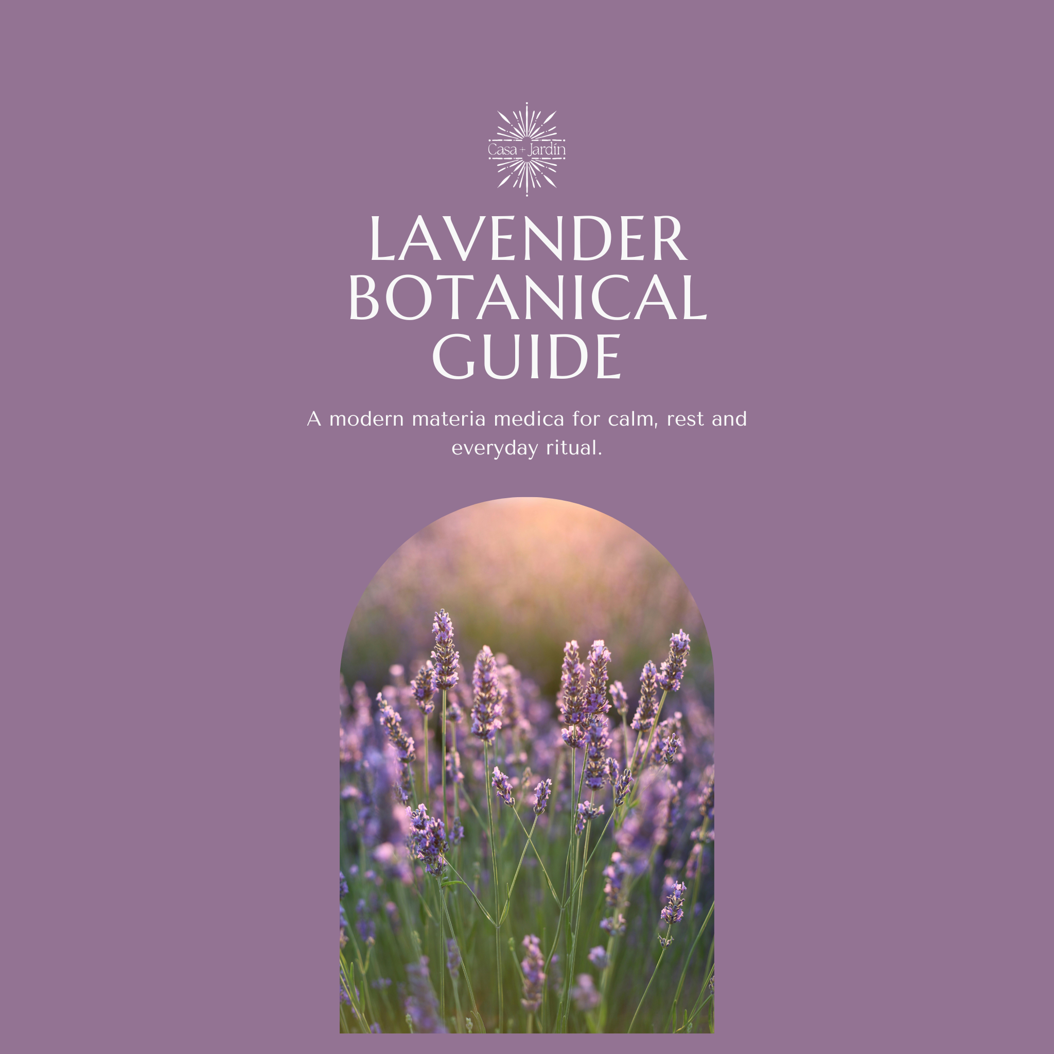 Lavender Botanical Guide | Digital Download