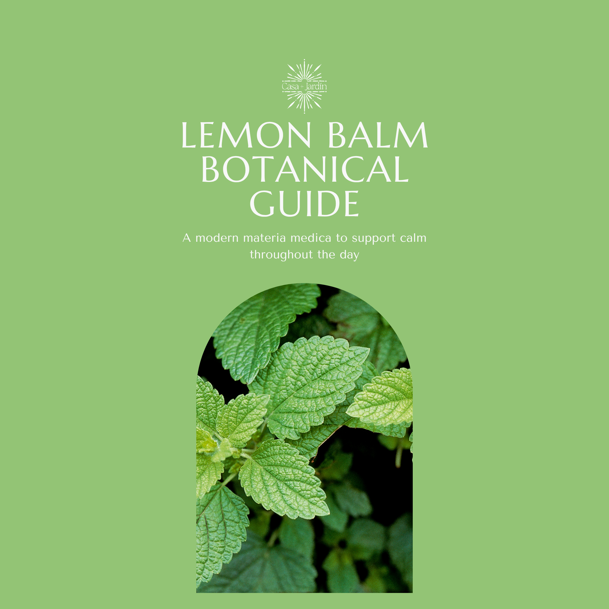 Lemon Balm Botanical Guide | Digital Download