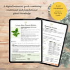 Lemon Balm Botanical Guide | Digital Download