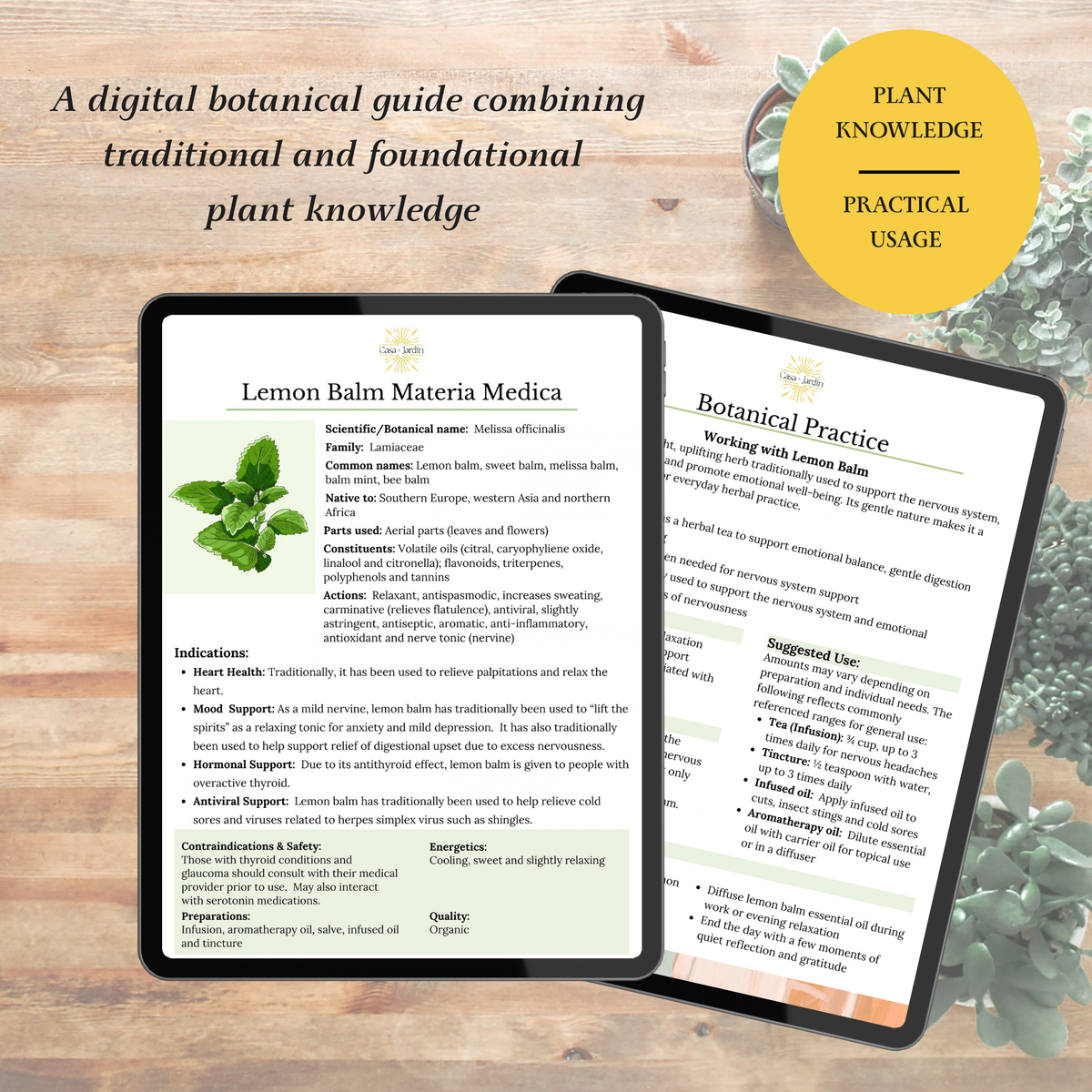 Lemon Balm Botanical Guide | Digital Download