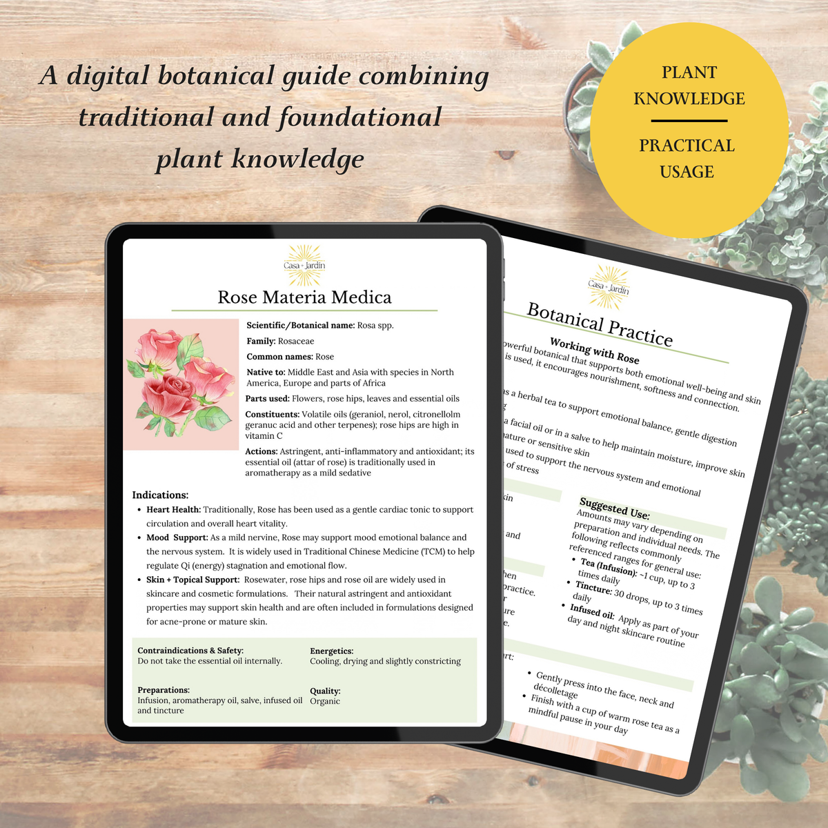Rose Botanical Guide | Digital Download