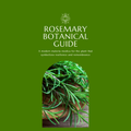 Rosemary Botanical Guide | Digital Download