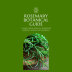 Rosemary Botanical Guide | Digital Download