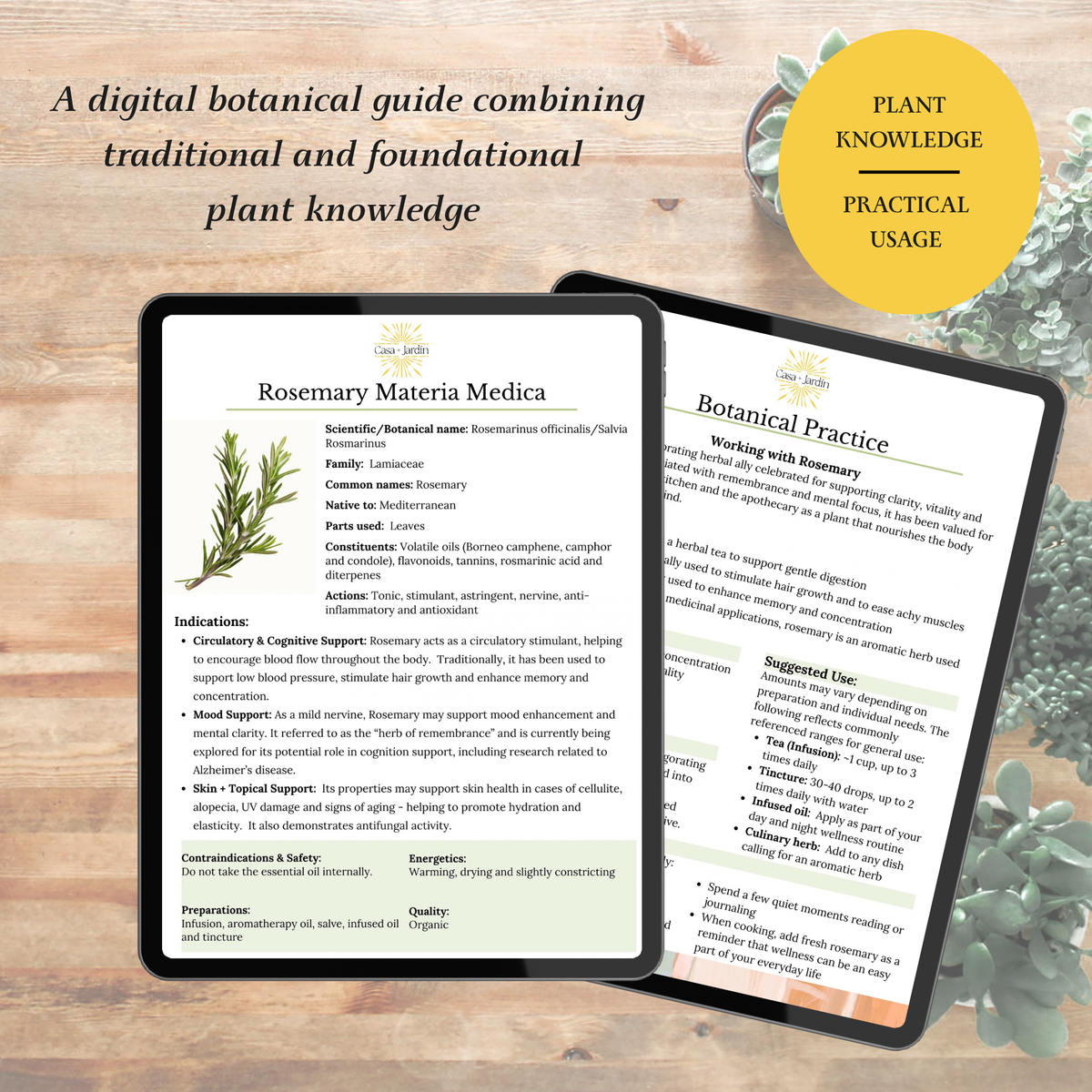 Rosemary Botanical Guide | Digital Download