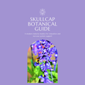 Skullcap Botanical Guide | Digital Download