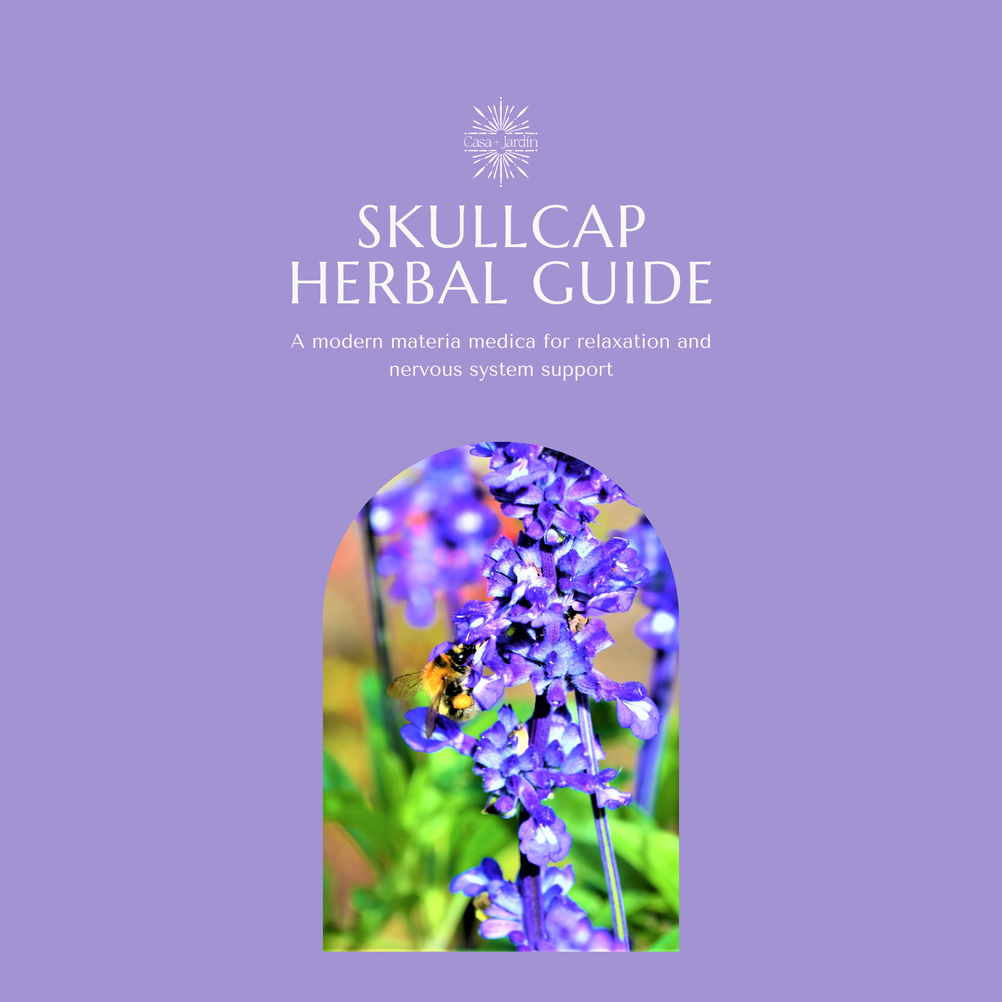 Skullcap Herbal Guide | Digital Download