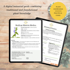 Skullcap Botanical Guide | Digital Download