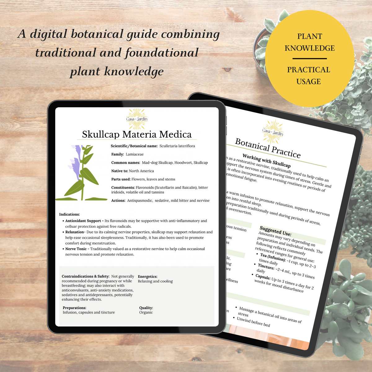 Skullcap Botanical Guide | Digital Download